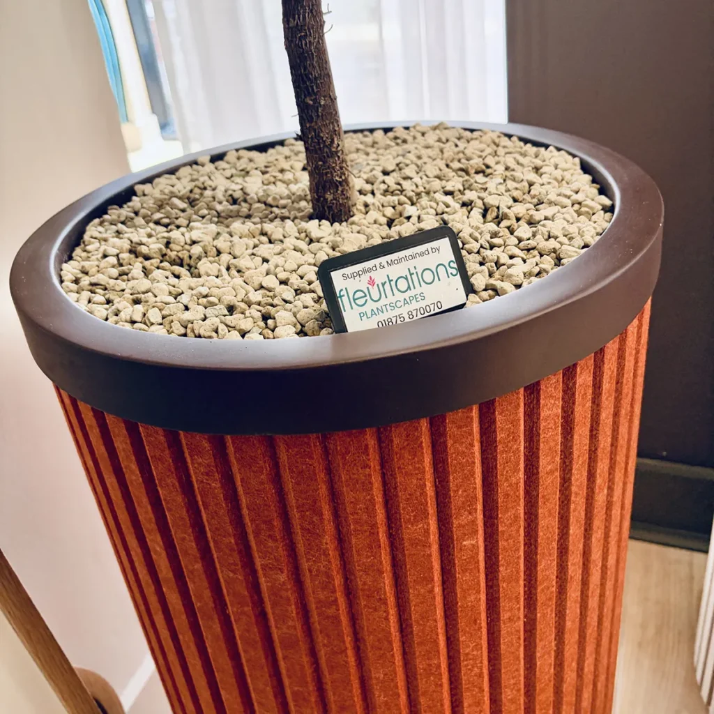 LunarFelt Acoustic Coloured Planter